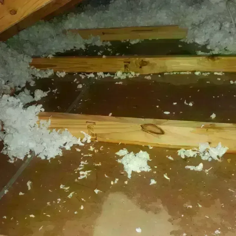 Attic Water Damage in Cedar City, UT