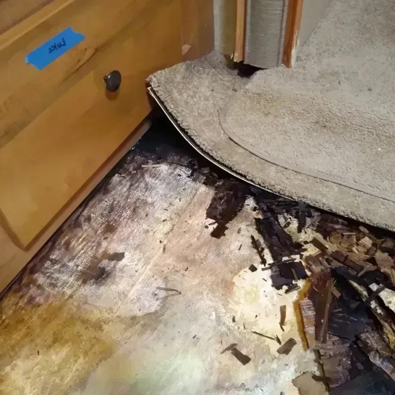 Wood Floor Water Damage in Cedar City, UT